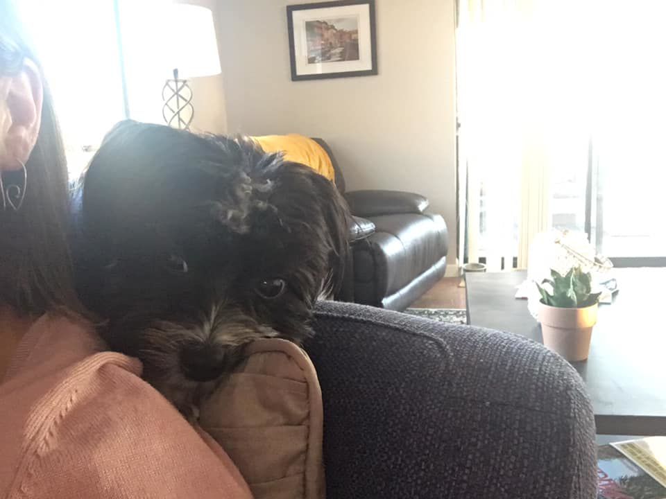 Readers pet photos